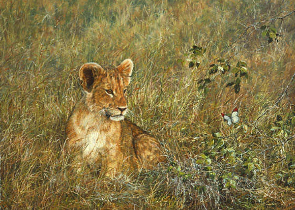 Lion Cub and Butterfly - Simon Combes