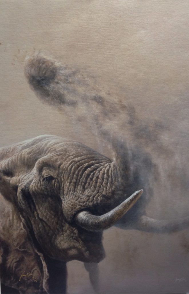 Dusting Elephant - Andrew Ellis