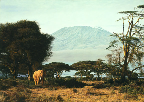 Kilimanjaro Morning - Simon Combes