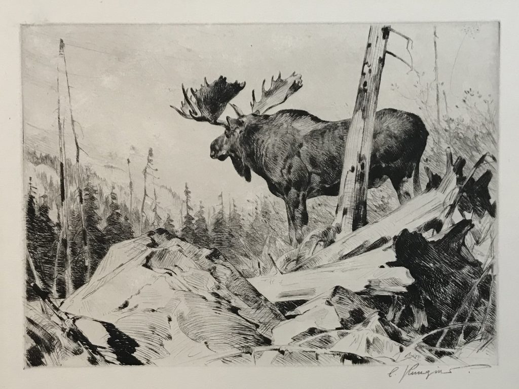 Alaskan Wilderness - Carl Rungius