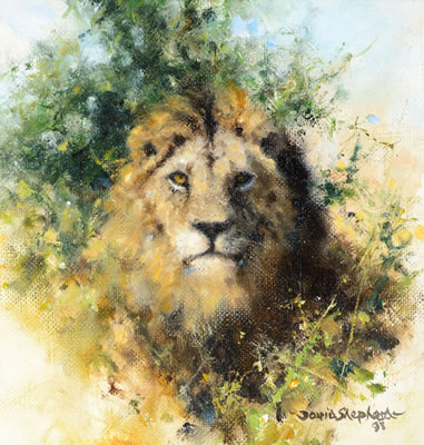 Lion - David Shepherd