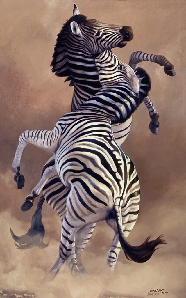 Horseplay - Zebra - Lindsay Scott