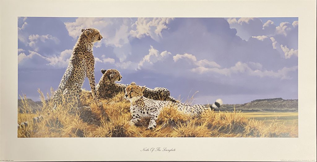North of the Serengeti - Lindsay Scott