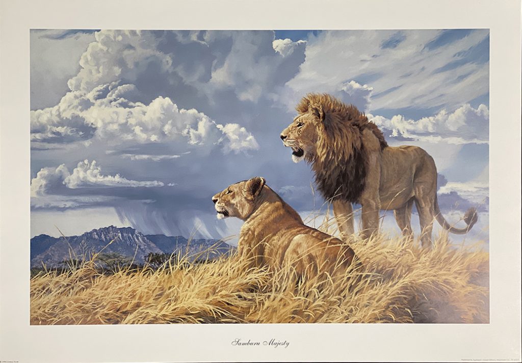Samburu Majesty - Lindsay Scott