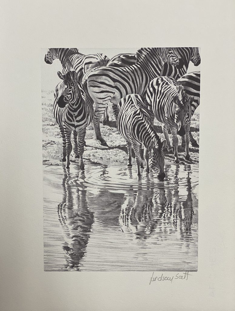 Waterhole Trilogy - Zebra - Lindsay Scott
