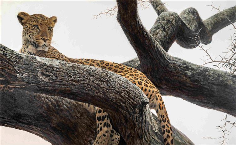 Leopard at Seronera - Robert Bateman