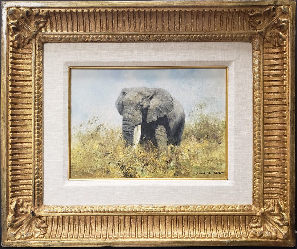 African Elephant - David Shepherd