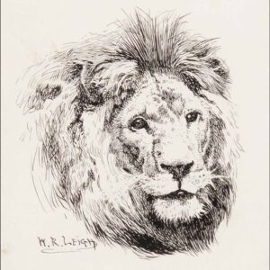 Lion - W.R. Leigh