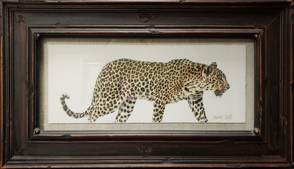Passing Leopard - Lindsay Scott