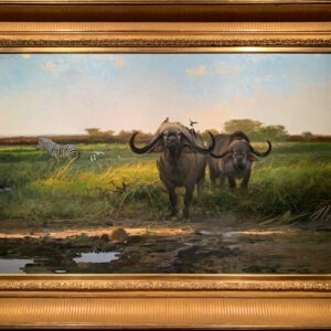 Cape Buffalo Bulls - Michael Coleman