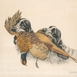 Spaniels Couple with Pheasant - Leon Danchin