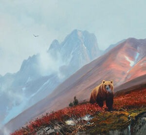 High Range Bear - Michael Coleman