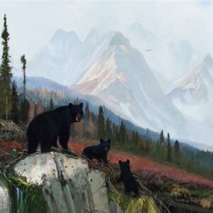 The Three Bears - Michael Coleman