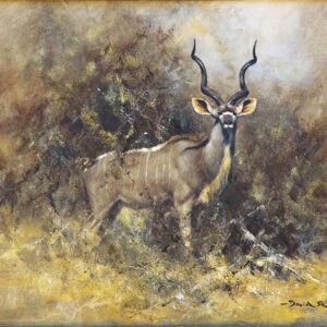 Greater Kudu - David Shepherd