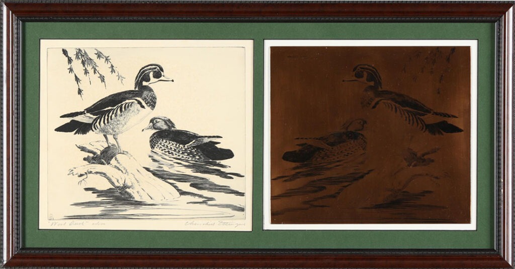 Wood Duck - Churchill Ettinger