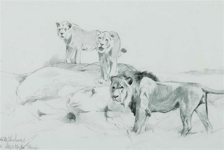 Lions on The Rock - Friedrich Wilhelm (“Lion”) Kuhnert