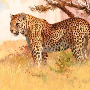 Leopard - Bob Kuhn