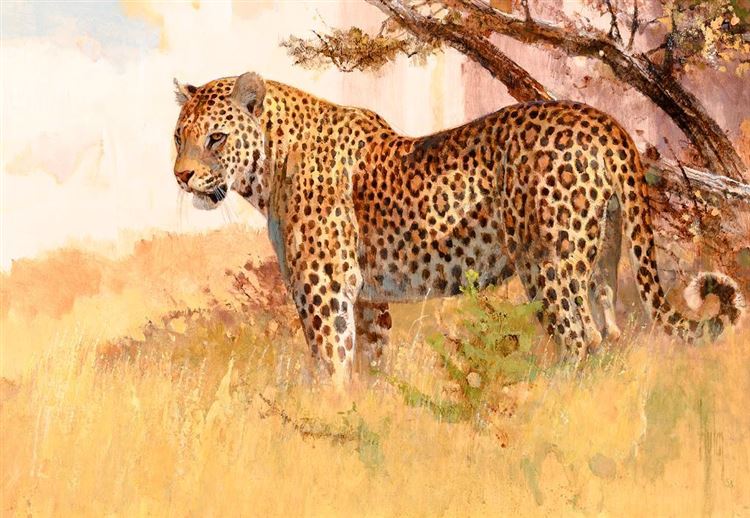 Leopard - Bob Kuhn