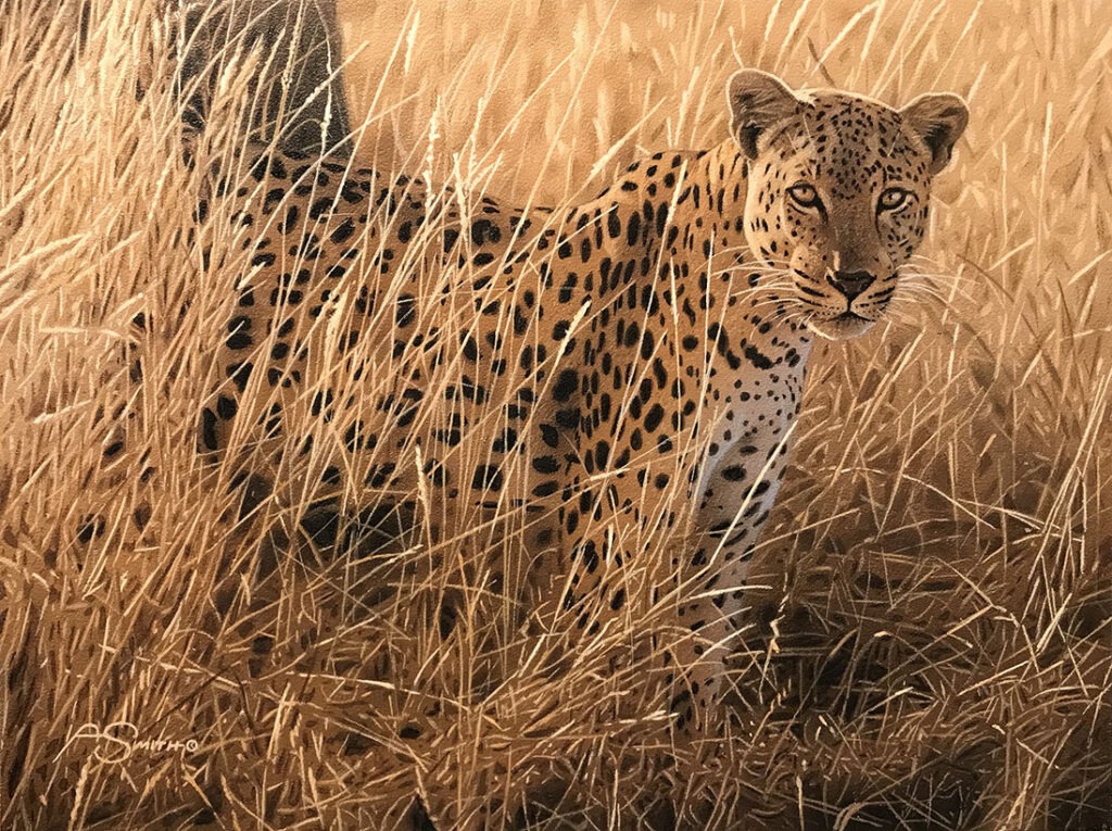 Leopard - Adam Smith