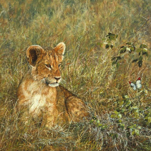 Lion Cub and Butterfly - Simon Combes