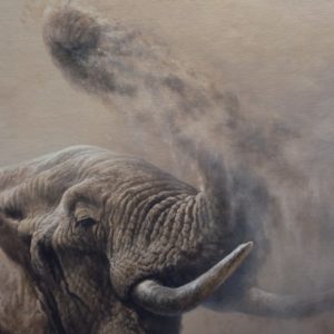 Dusting Elephant - Andrew Ellis