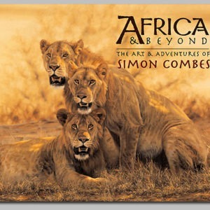 Africa and Beyond - Simon Combes