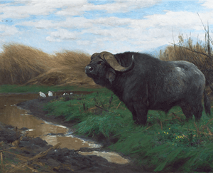 Buffalo in a Marsh - Fiedrich Wilhelm Kuhnert