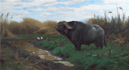 Buffalo in a Marsh - Fiedrich Wilhelm Kuhnert