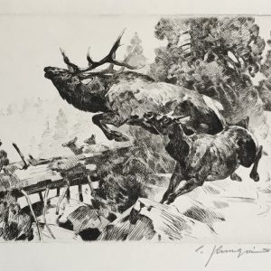 Stampede - Carl Rungius