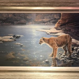 Canyon Creek Cougar - John Seerey-Lester