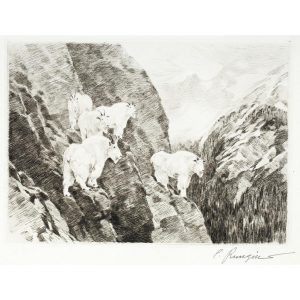 Goats - Carl Rungius