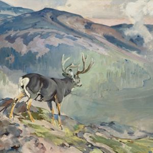 Mule Deer in Landscape - George Browne