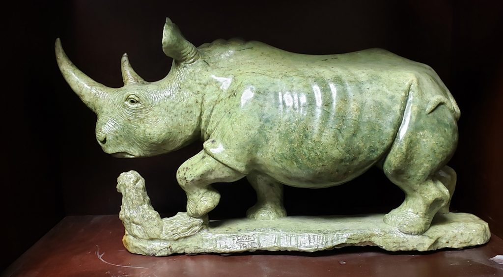 Rhinoceros - James Tandi