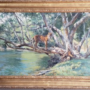 Tiger in Tree - Donald Grant