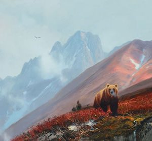 Hirh Range Bear - Michael Coleman