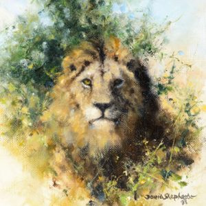 Lion - David Shepherd