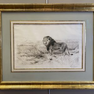 Lion - Friedrich Kuhnert