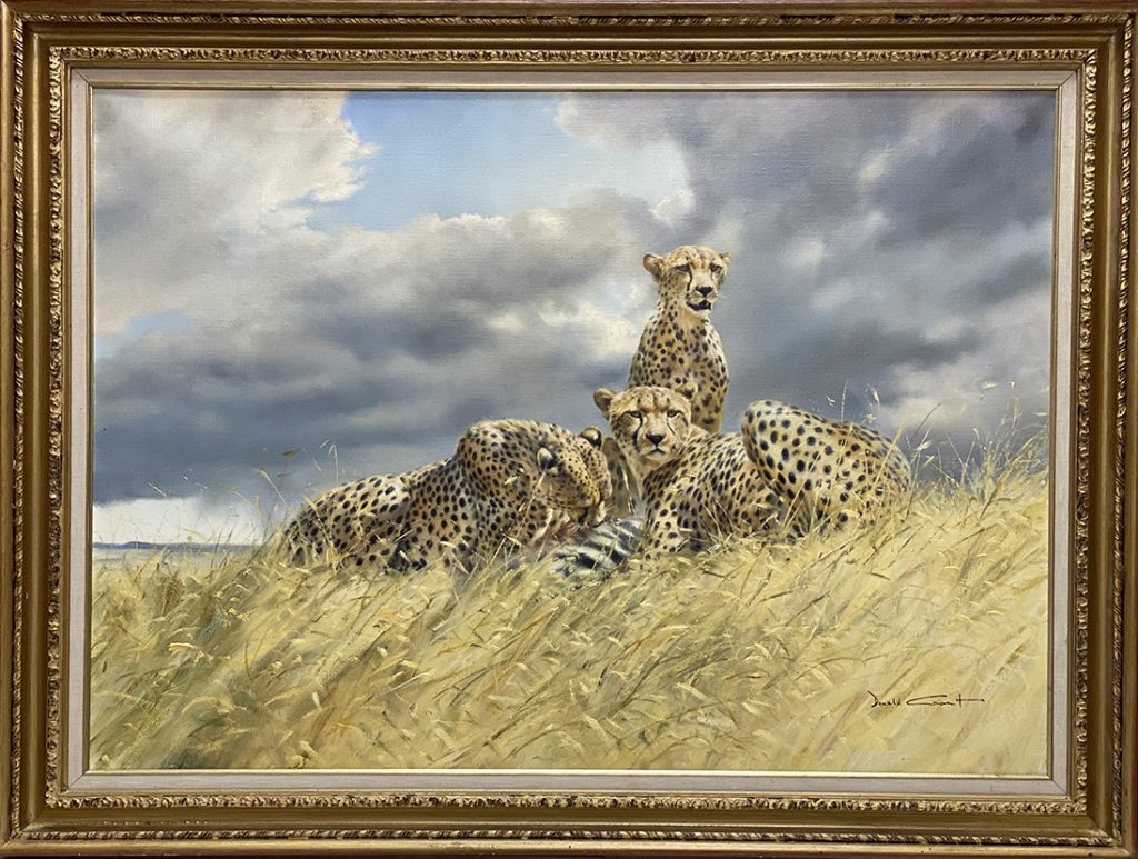 Cheetah Feast - Donald Grant