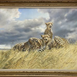 Cheetah Feast - Donald Grant