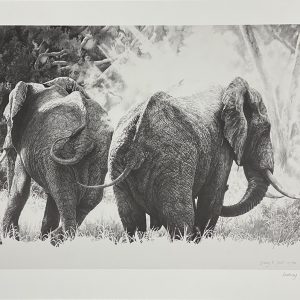 Dusting - Elephant Pair - Lindsay Scott