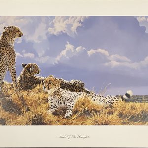 North of the Serengeti - Lindsay Scott