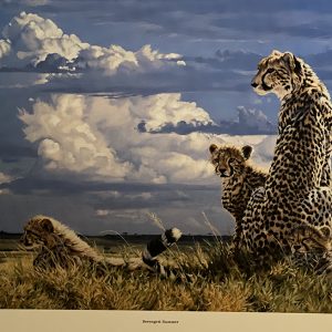 Serengeti Summer - Lindsay Scott