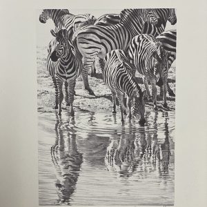 Waterhole Trilogy - Zebra - Lindsay Scott