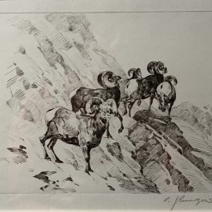 Rams - Carl Rungius