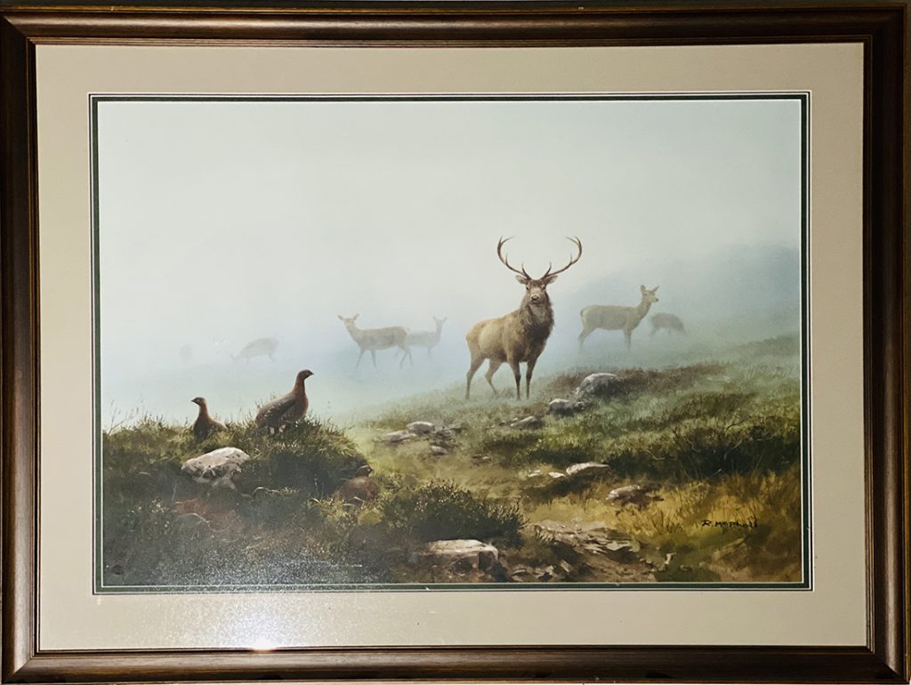 Stag In the Mist - Rodger McPhail
