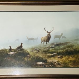 Stag In the Mist - Rodger McPhail