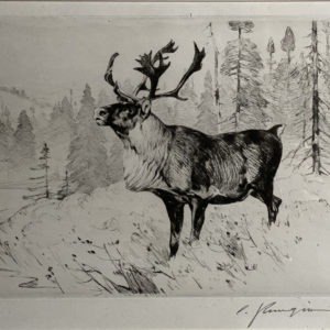 Woodland Stag - Carl Rungius