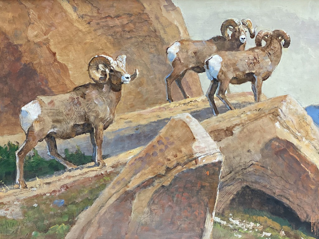 Rams Along Rock Ridge - Bob Kuhn