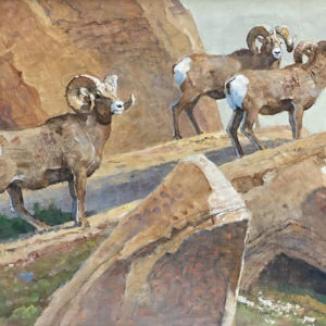 Rams Along Rock Ridge - Bob Kuhn