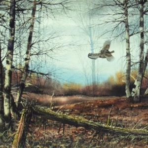 Fleeing Grouse - David Hagerbaumer